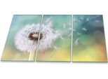 Piastra Di Copertura Del Piano Cottura Piastra Di Copertura Del Piano Cottura In Ceramica 3 Pezzi 90X52 Vetro Dandelion