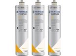 Everpure 4C Wasserfilter EV9600-00