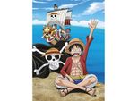One Piece - Telo Mare - Pirati - Coperta In Pile