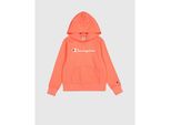 Champion Deutschland Felpa Con Cappuccio Dbr Xl