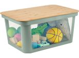 Rotho Babydesign Scatola Portaoggetti Pina 45 L - Verde Salvia