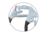 Ingrassatore A Una Mano Pressol 2014.1 M 10 X 1, Fn-Nero-Senza Zbh