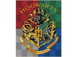 Harry Potter - Telo Mare - Stemma Di Hogwarts