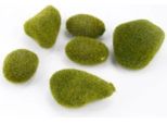Pietre Di Muschio - Verde - Set Di 6 - Pietre Decorative Per Terrari, Giardini Di Bottiglie, Composizioni Floreali E Ciotole - Leggere E Riutilizzabili