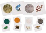 Eduplay 120742 Schede Di Sentimento, Multicolori, 6 Pezzi (1 Set)