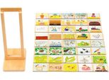 Eduplay Gioco Educativo Ciclo Della Vita Scatola Di Cartone Multicolore