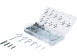 Assortimento Di Ganci E Tasselli Per Viti | 125 Pz.