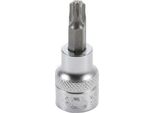 Bgs Bit A Presa Quadrata 10 Mm (3/8") Profilo A T (Per Torx) T50 - 2548"