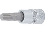 Bgs Bit A Presa Quadrata 6,3 Mm (1/4") Profilo A T (Per Torx) T35 - 2565"