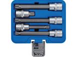 Bgs 8449 | Set Di Bussole | 12,5 Mm (1/2") | Multidente Interno (Per Xzn) | 5 Pz."