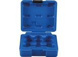 Custodia Vuota Bgs Per L'articolo 2434 - 2434-LEER