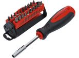 Bgs Set Di Bit Per Cacciavite Fai Da Te 31 Pezzi.