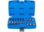 Bgs 5171 | Set Di Bussole Per Bit | Attacco Quadro 6,3 Mm (1/4") / 12,5 Mm (1/2"") | Attacco Esagonale | 18 Pz."