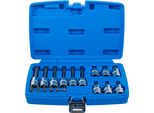 Bgs 5174 | Set Di Bussole Con Attacco Quadro 6,3 Mm (1/4") / 12,5 Mm (1/2"") | Profilo A T (Per Torx) Con Foro | 18 Pz."