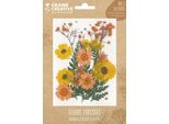 Graine Creative Flower Set - Fiori Secchi Naturali Yellow Meadow 18 Pezzi