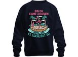 Am Ci Può Andare Fuori Escalation Fenicottero Spiaggia Festa Isola Vacanza Unisex Felpa Pullover, Navy, M