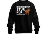 Non Testardo, Solo Supponente, Divertente Asino Che Dice Umorismo Regalo Felpa Unisex Pullover, Nero, M