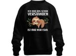 Capito Che Non Mi Interessa Il Bradipo Che Dorme Dice Divertente Ironia Pullover Felpa Unisex, Nero, S