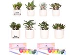 Kolibri Creatives | Set Di Pittura Per Dipingere 8 Vasi Di Fiori + Piante Grasse | Per Almeno 4 Persone | Visionario Creativo