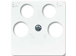 BUSCH-JAEGER Piastra Centrale Ant.Box 4F Reflex Si Aws Glz