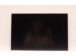 Lenovo Display Inx 14.0 Wuxga Ag Lclw (5D10V82401)