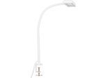 Lampada A Morsetto A Led Luce Diurna Interruttore A Cavo 7,5 W Bianco Metallo-Plastica Briloner