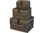 Cestino In Vimini Dr V-Ager Con Coperchio 25X17X13 Grigio