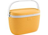 Van Der Meulen Toy Cool Box 18 Litri Giallo Multicolore Picnic