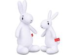 Conigli Bob E Bobek - Set Di Animali Di Peluche