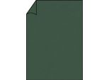 RöSsler Papier 220726571 Coloretti Carta Da Lettere - A4, 165G, 10 Fogli, Foresta