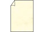 RöSsler Papier 220701506 Coloretti Carta Da Lettere - A4, 80G, 10 Fogli, Camoscio Di Marmora