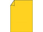 RöSsler Papier 220701543 Coloretti Carta Da Lettere - A4, 80G, 10 Fogli, Giallo Oro