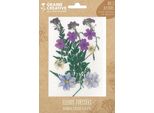 Graine Creative Fiori Secchi Decorazione Prato Viola 13 Pezzi