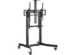 Equip 650633 Supporto Da Pavimento Equip 55"-100""/ 1TFT 120Kg 1Shelf Sw Lite Retail"