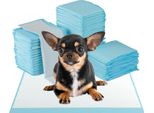 Costway 300 Pezzi 60X43Cm Assorbenti Da Addestramento Per Cani, A Prova Di Perdite, Assorbenti Per Cuccioli, Assorbenti Igienici Usa E Getta, Assorbenti Da Addestramento Per Cuccioli