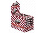 Fisherman's Friend Wild Cherry Senza Zucchero 24 X 25 G