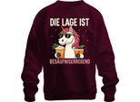 The Situation Is Boozy Unicorn Beer Party Cocktail Funny Unisex Felpa Pullover, Borgogna, 3XL