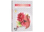 Bispol Tea Light Profumati Ai Fiori Di Cactus, 6 Pezzi
