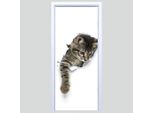 Adesivo Per Porte In Tessuto Con Gattino, 219PD