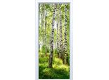 Adesivo Per Porta In Tessuto Foresta Di Betulla 551PD