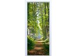 Adesivo Per Porta In Tessuto - Sentiero Tra Gli Alberi 879PD