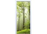 Adesivo Per Porta In Tessuto Con Motivo Foresta Verde, 877PD