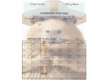 Lavagna Magnetica Per Bambini Kapybara Planner Da Frigorifero + Pen Calendario