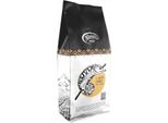 Maestro Caffe Oro Caffè In Grani 1Kg [100% Arabica]