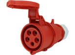 Bals Cee Accoppiamento 5P 32A IP44 400V/Rt 6H Terminale A Vite