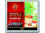 KOH-I-NOOR Matite Colorate Triangolari 3162 Triocolor Forte 12 Pezzi