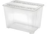 Texbox Trasparente+Deckel 57 X 38 X 40,5 Cm