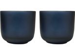 Seasons - Tazza In Vetro Borosilicato Da 200 Ml (Confezione Da 2) PF4801 (Taglia Unica) (Hale Blue)
