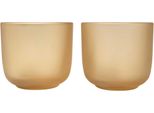 Seasons - Tazza, Vetro Borosilicato, 200Ml (Confezione Da 2) PF4801 (Taglia Unica) (Farina D'avena)