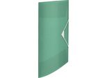 Esselte 626223 Cartellina Angolare Esselte Colour'ice, Din A4, Pp, Verde